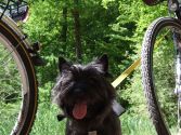 Radsportler